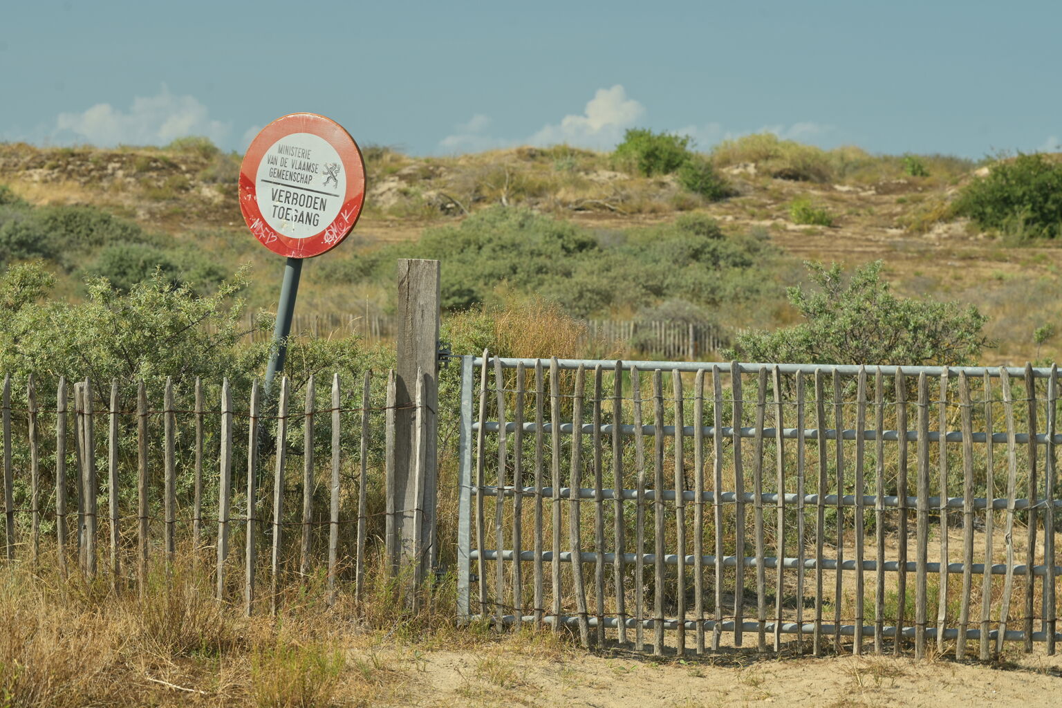 Sint-Laureinsduinen