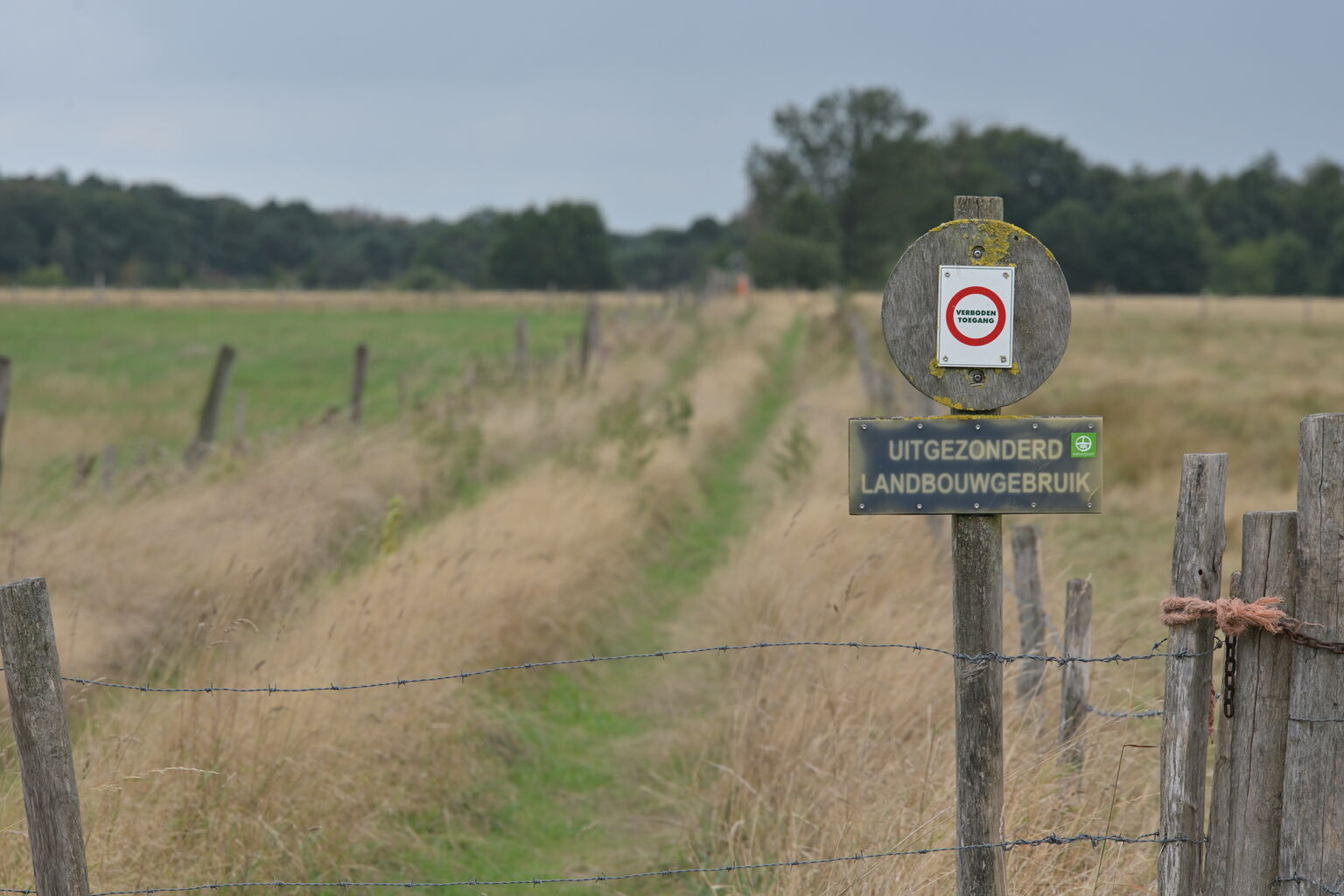 Turnhouts Vennengebied