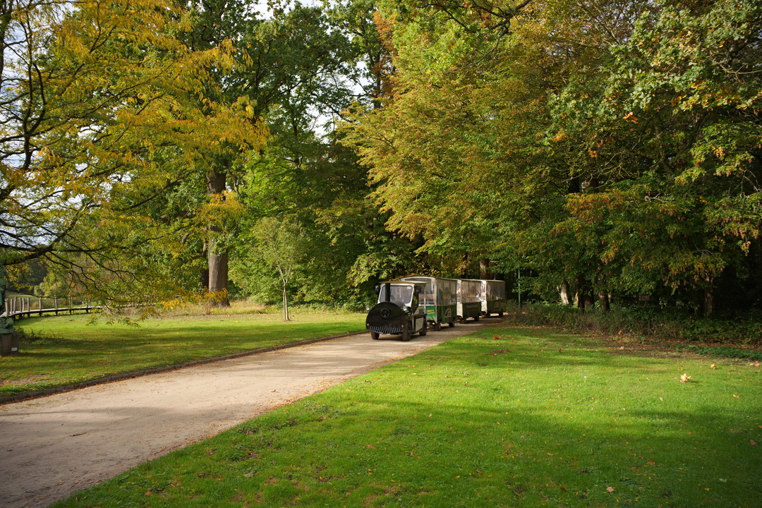 Plantentuin Meise (4)